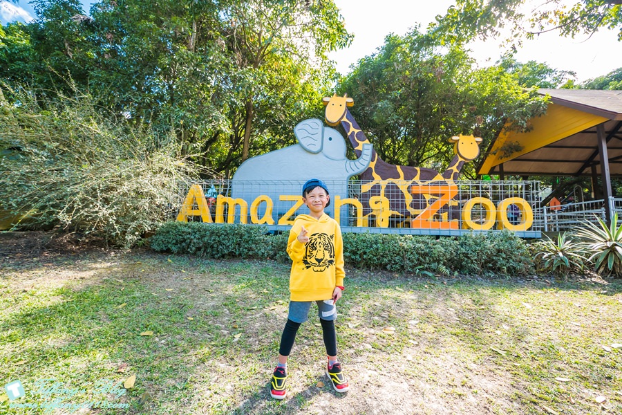 [嘉義景點]綠盈牧場/門票50元有十樣設施可以玩超划算/超美教堂可拍IG照/小朋友最愛的牽牛花造型溜滑梯