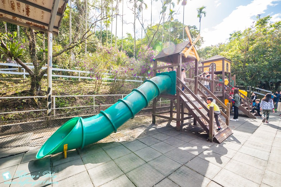 [嘉義景點]綠盈牧場/門票50元有十樣設施可以玩超划算/超美教堂可拍IG照/小朋友最愛的牽牛花造型溜滑梯