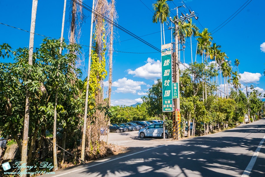 [嘉義景點]綠盈牧場/門票50元有十樣設施可以玩超划算/超美教堂可拍IG照/小朋友最愛的牽牛花造型溜滑梯