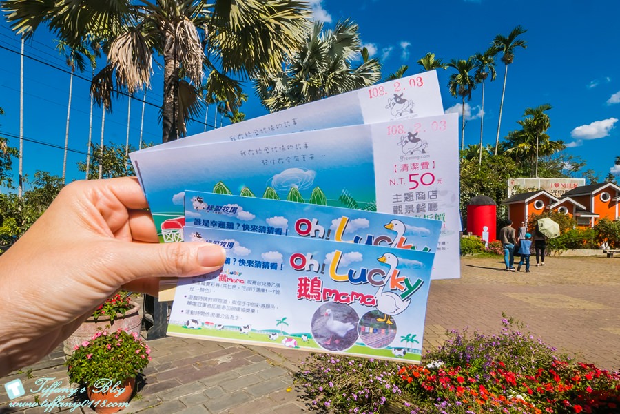 [嘉義景點]綠盈牧場/門票50元有十樣設施可以玩超划算/超美教堂可拍IG照/小朋友最愛的牽牛花造型溜滑梯