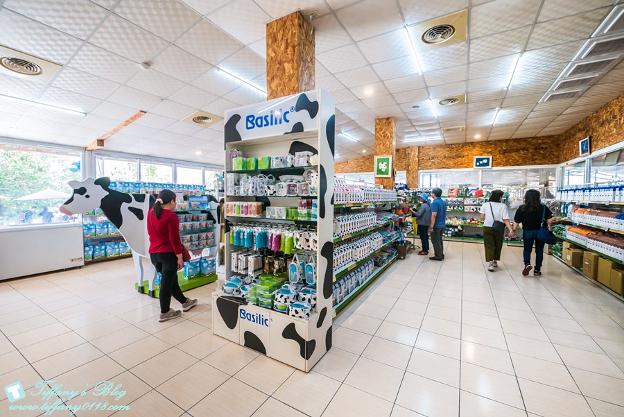 [嘉義景點]綠盈牧場/門票50元有十樣設施可以玩超划算/超美教堂可拍IG照/小朋友最愛的牽牛花造型溜滑梯