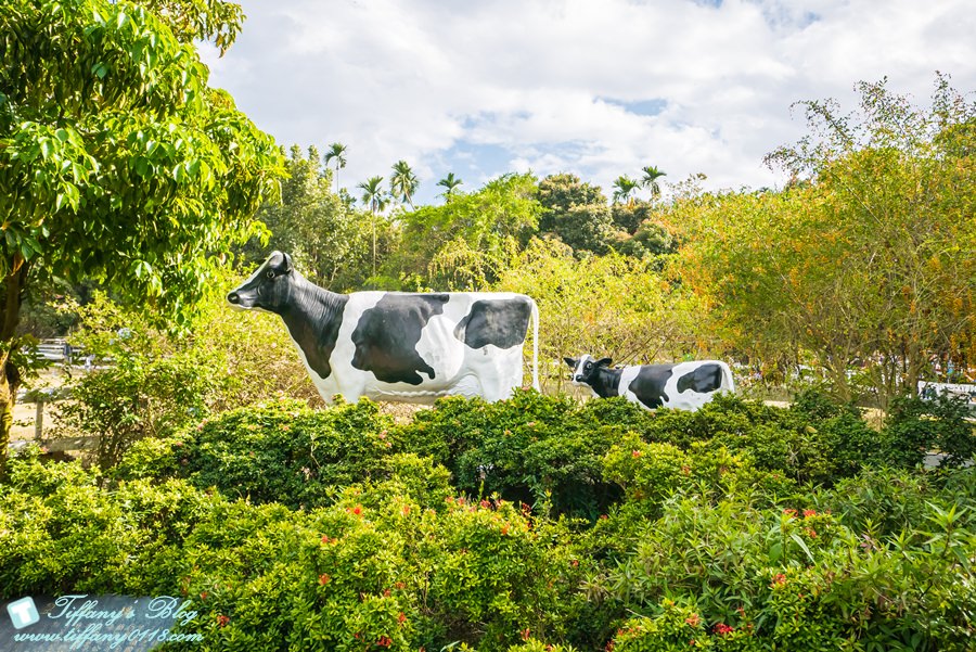 [嘉義景點]綠盈牧場/門票50元有十樣設施可以玩超划算/超美教堂可拍IG照/小朋友最愛的牽牛花造型溜滑梯