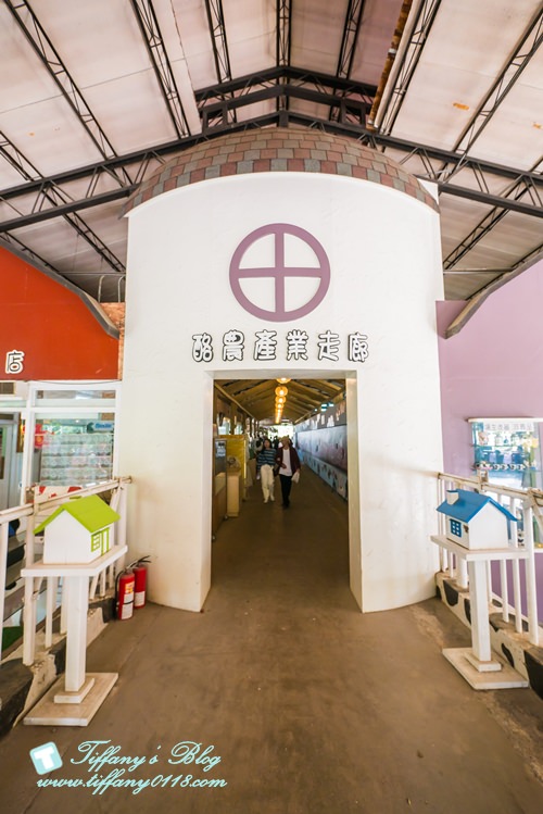 [嘉義景點]綠盈牧場/門票50元有十樣設施可以玩超划算/超美教堂可拍IG照/小朋友最愛的牽牛花造型溜滑梯