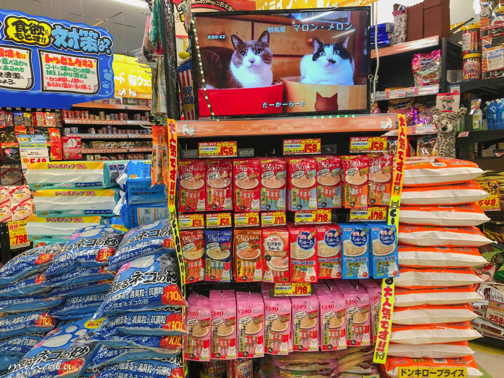 日本藥妝,日本必買,日本電器,日本零食,唐吉軻德折價卷,日本藥妝折價卷