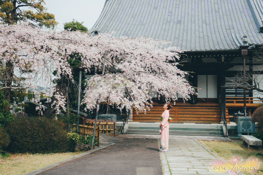 靜岡自由行,靜岡自駕,靜岡行程,靜岡好玩,靜岡住宿推薦,靜岡飯店推薦,伊豆飯店推薦,清水飯店推薦