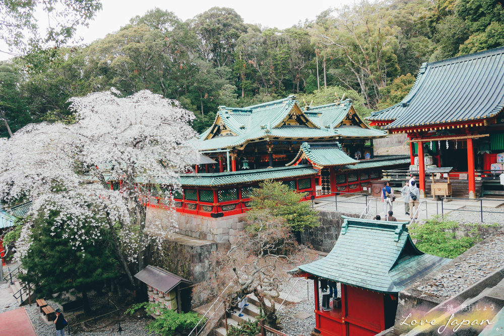 靜岡自由行,靜岡自駕,靜岡行程,靜岡好玩,靜岡住宿推薦,靜岡飯店推薦,伊豆飯店推薦,清水飯店推薦