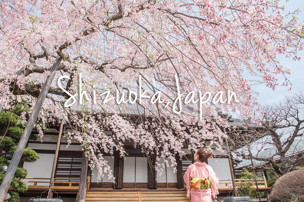 靜岡自由行,靜岡自駕,靜岡行程,靜岡好玩,靜岡住宿推薦,靜岡飯店推薦,伊豆飯店推薦,清水飯店推薦