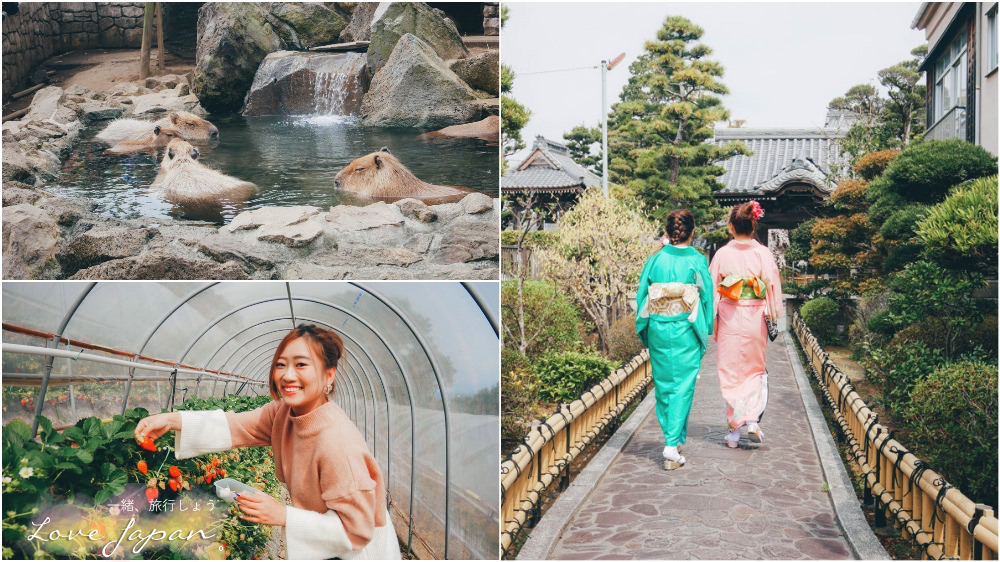 靜岡自由行,靜岡自駕,靜岡行程,靜岡好玩,靜岡住宿推薦,靜岡飯店推薦,伊豆飯店推薦,清水飯店推薦