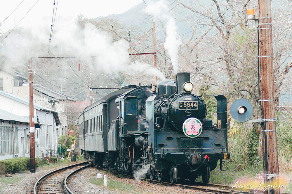 靜岡自由行,靜岡自駕,靜岡行程,靜岡好玩,靜岡住宿推薦,靜岡飯店推薦,伊豆飯店推薦,清水飯店推薦