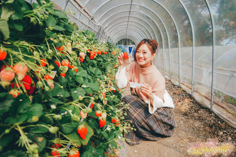 靜岡自由行,靜岡自駕,靜岡行程,靜岡好玩,靜岡住宿推薦,靜岡飯店推薦,伊豆飯店推薦,清水飯店推薦