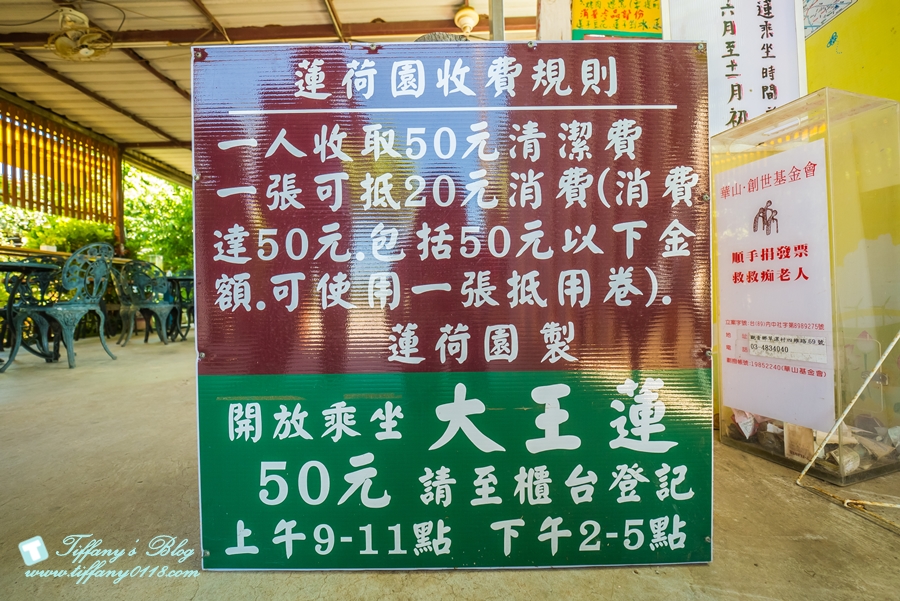 [桃園景點]蓮荷園休閒農場/桃園大王蓮/限重100公斤可站可躺/荷葉蓮子大餐還有蓮子剉冰超消暑