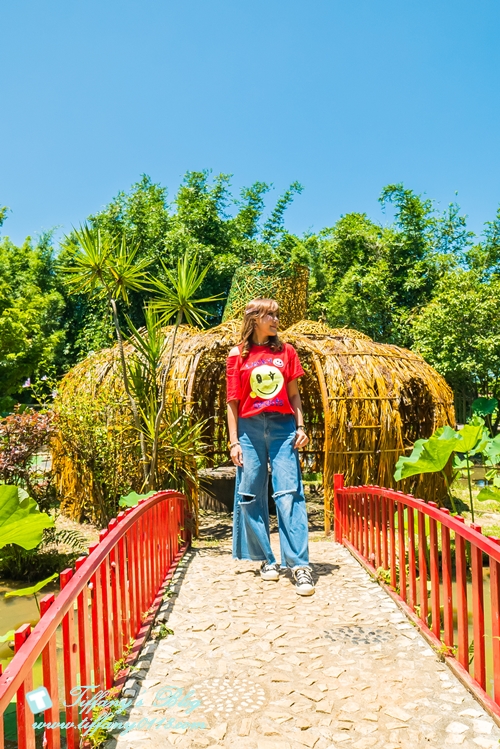 [桃園景點]蓮荷園休閒農場/桃園大王蓮/限重100公斤可站可躺/荷葉蓮子大餐還有蓮子剉冰超消暑