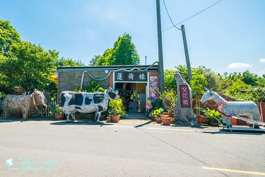 [桃園景點]蓮荷園休閒農場/桃園大王蓮/限重100公斤可站可躺/荷葉蓮子大餐還有蓮子剉冰超消暑