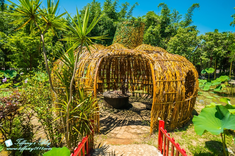 [桃園景點]蓮荷園休閒農場/桃園大王蓮/限重100公斤可站可躺/荷葉蓮子大餐還有蓮子剉冰超消暑