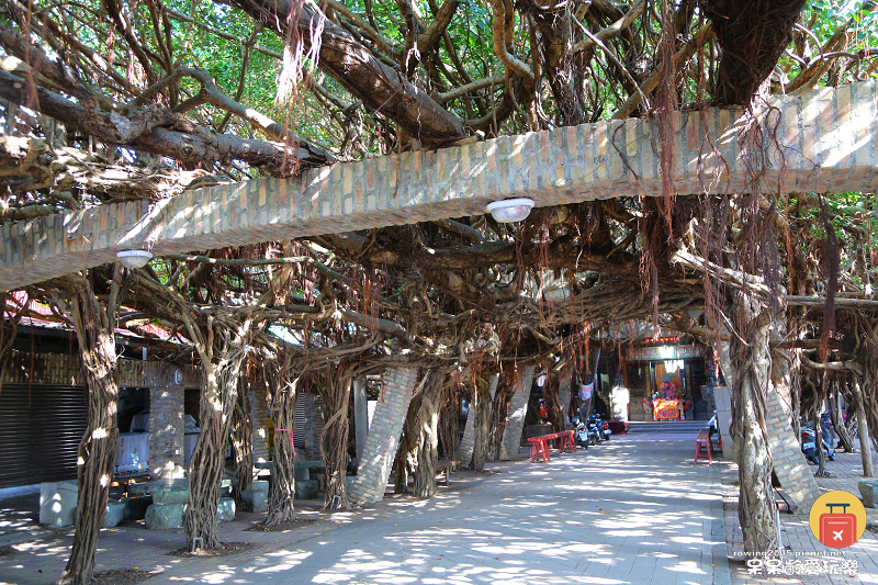 nEO_IMG_40.jpg nEO_IMG_40.jpg