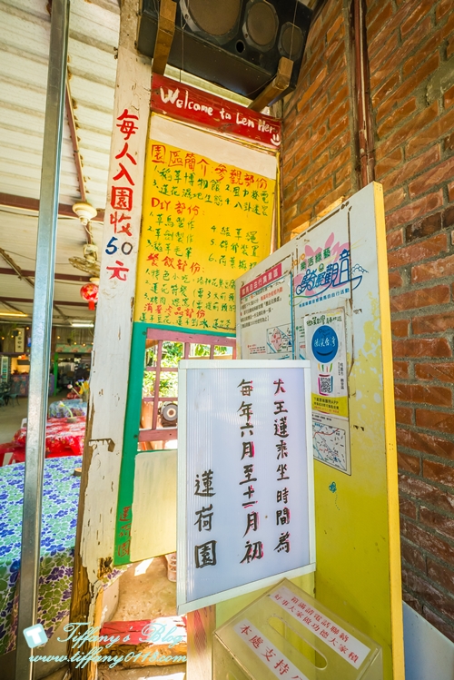 [桃園景點]蓮荷園休閒農場/桃園大王蓮/限重100公斤可站可躺/荷葉蓮子大餐還有蓮子剉冰超消暑