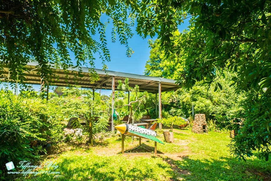 [桃園景點]蓮荷園休閒農場/桃園大王蓮/限重100公斤可站可躺/荷葉蓮子大餐還有蓮子剉冰超消暑