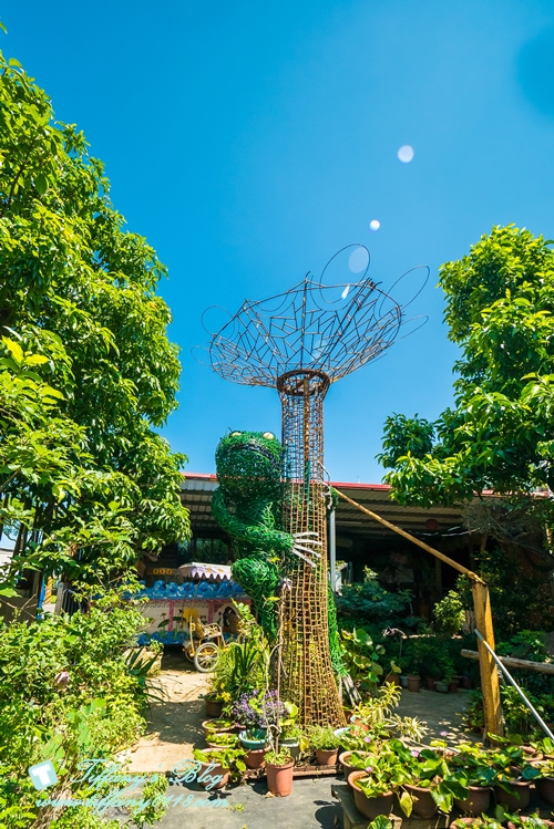 [桃園景點]蓮荷園休閒農場/桃園大王蓮/限重100公斤可站可躺/荷葉蓮子大餐還有蓮子剉冰超消暑