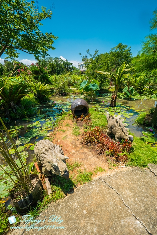 [桃園景點]蓮荷園休閒農場/桃園大王蓮/限重100公斤可站可躺/荷葉蓮子大餐還有蓮子剉冰超消暑