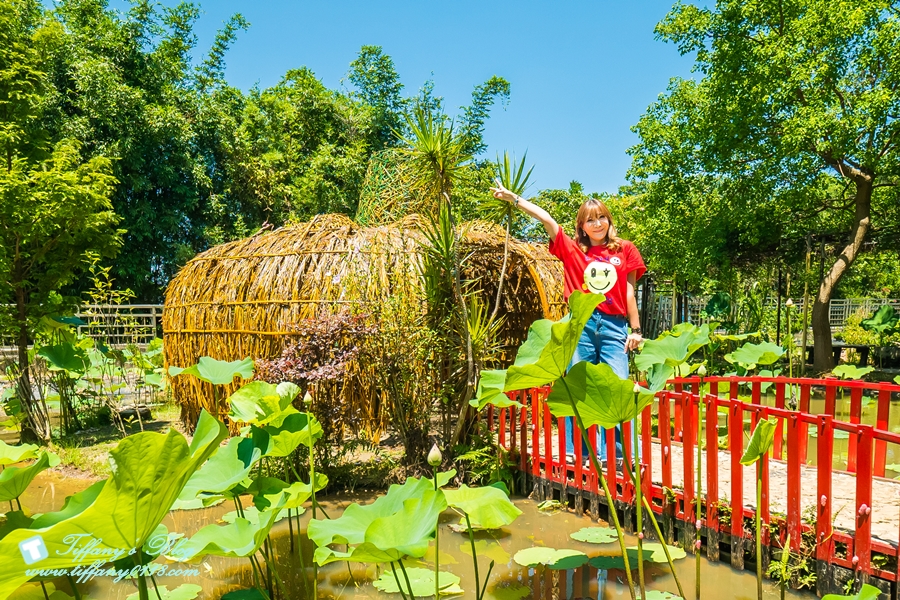 [桃園景點]蓮荷園休閒農場/桃園大王蓮/限重100公斤可站可躺/荷葉蓮子大餐還有蓮子剉冰超消暑