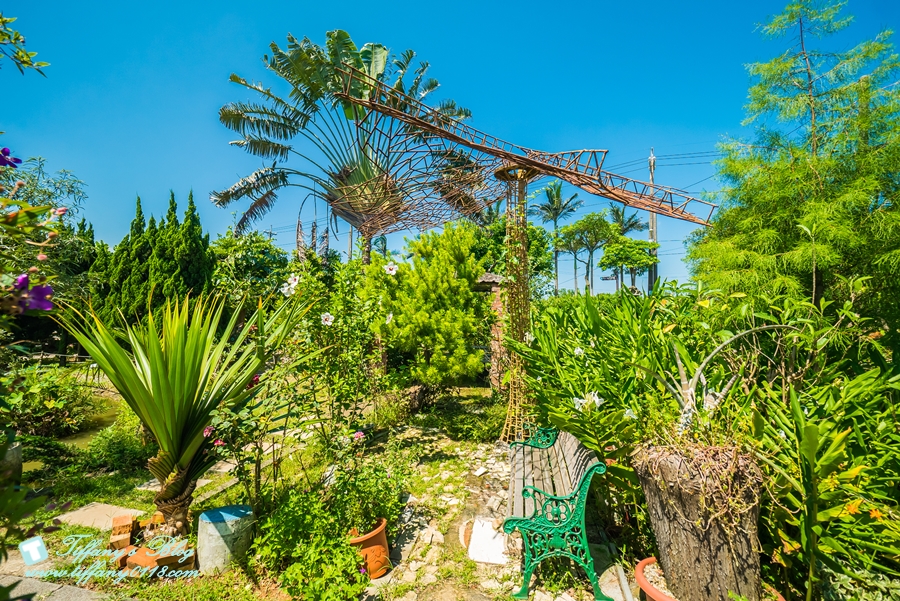 [桃園景點]蓮荷園休閒農場/桃園大王蓮/限重100公斤可站可躺/荷葉蓮子大餐還有蓮子剉冰超消暑