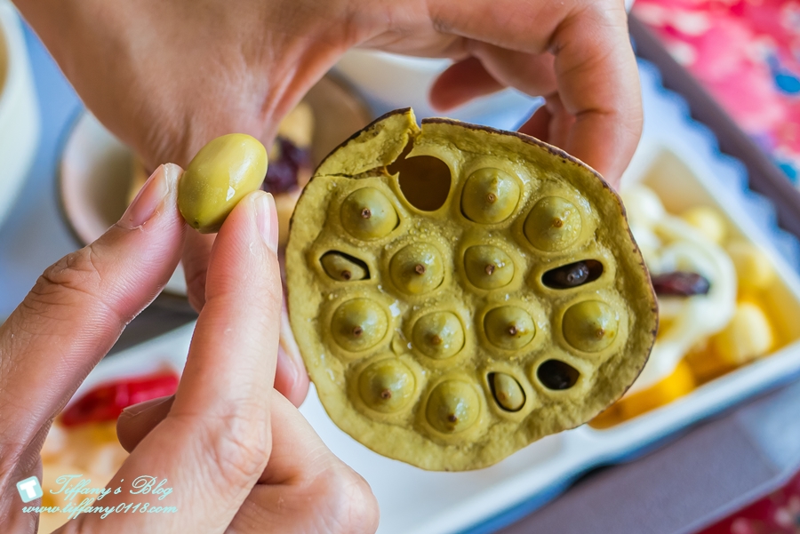 [桃園景點]蓮荷園休閒農場/桃園大王蓮/限重100公斤可站可躺/荷葉蓮子大餐還有蓮子剉冰超消暑