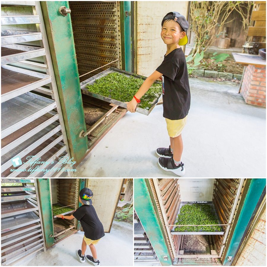 [宜蘭親子飯店]瓏山林蘇澳冷熱泉渡假飯店/夏季專案：茶香小旅行、汽車電影院、全新主廚料理/兩天一夜吃飽玩滿的親子行程