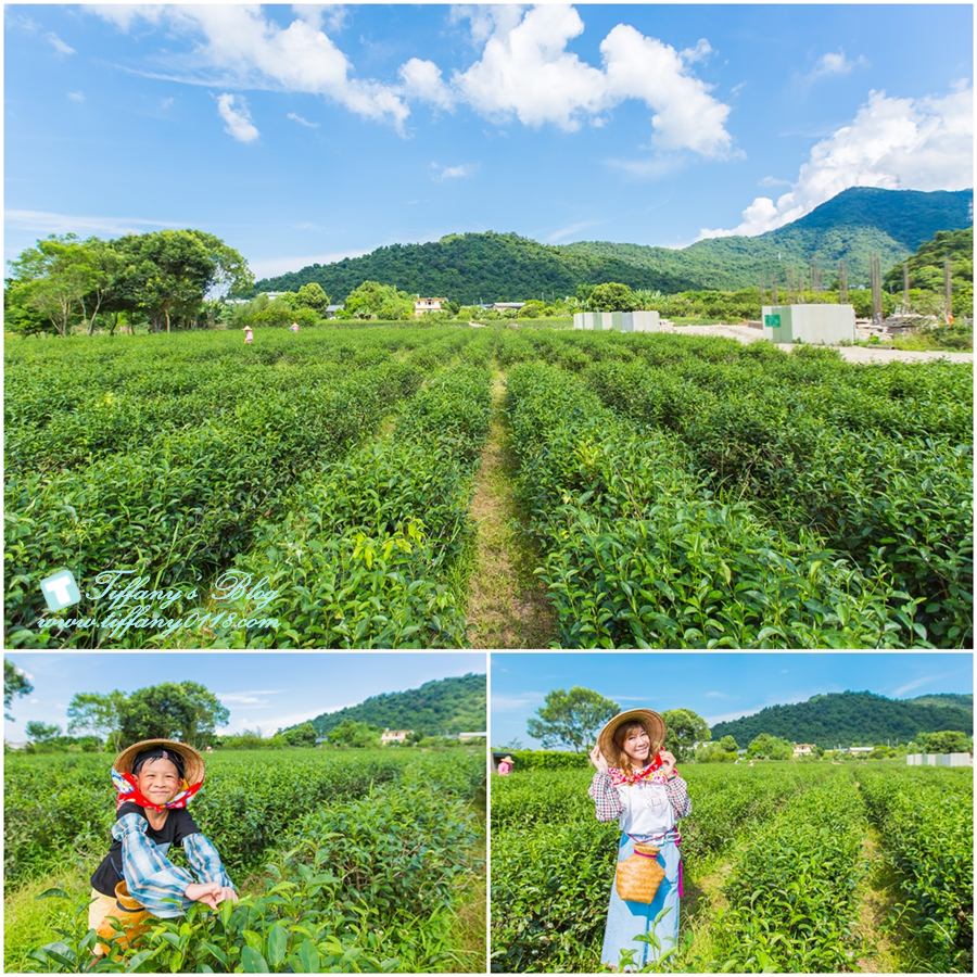 [宜蘭親子飯店]瓏山林蘇澳冷熱泉渡假飯店/夏季專案：茶香小旅行、汽車電影院、全新主廚料理/兩天一夜吃飽玩滿的親子行程