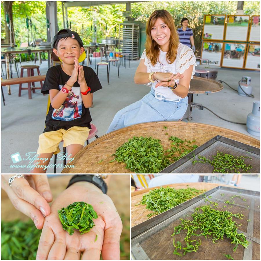 [宜蘭親子飯店]瓏山林蘇澳冷熱泉渡假飯店/夏季專案：茶香小旅行、汽車電影院、全新主廚料理/兩天一夜吃飽玩滿的親子行程