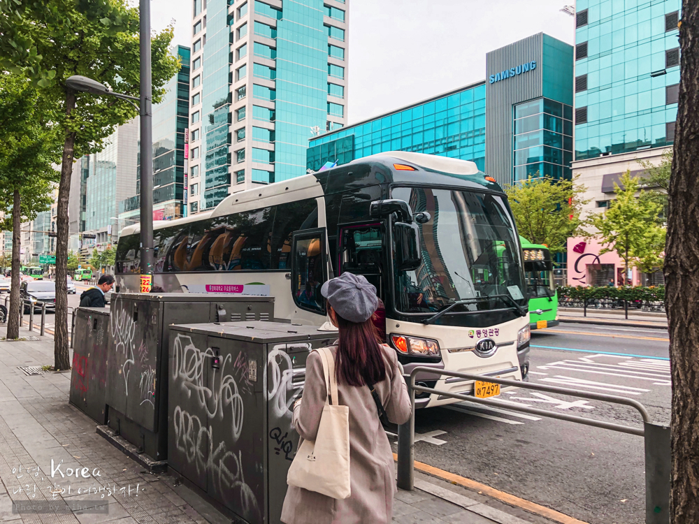 天空公園,首爾自由行,粉紅波波草,粉紅掃帚草,粉紅芒草,首爾景點,首爾好玩