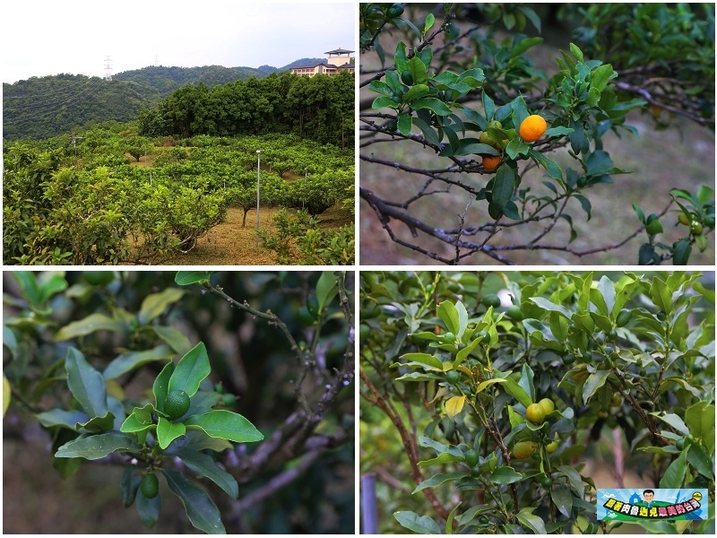 nEO_IMG_28.jpg nEO_IMG_28.jpg