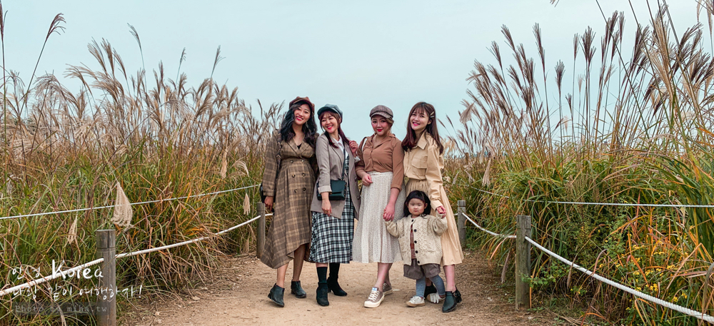 天空公園,首爾自由行,粉紅波波草,粉紅掃帚草,粉紅芒草,首爾景點,首爾好玩