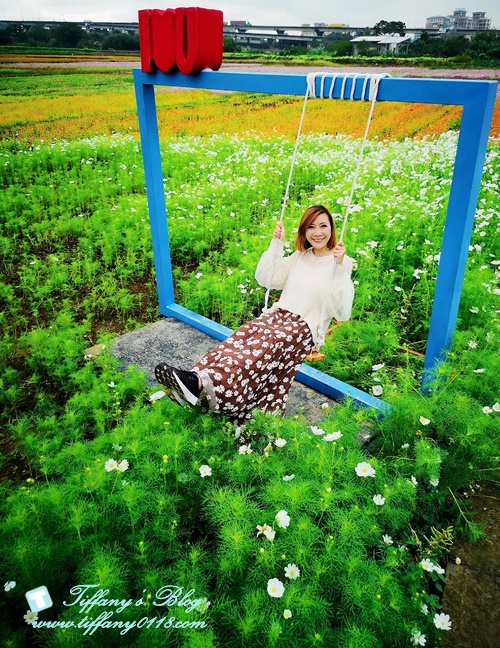 2019桃園花彩節+桃園仙草花節/台版普羅旺斯+五色花海超夢幻/四座摩艾石像等妳來尋找