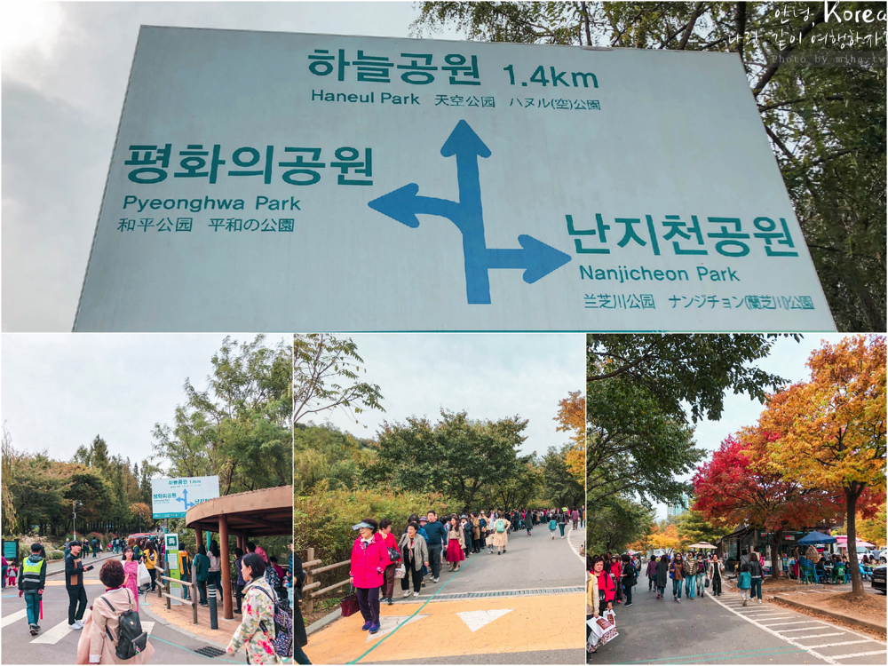 天空公園,首爾自由行,粉紅波波草,粉紅掃帚草,粉紅芒草,首爾景點,首爾好玩