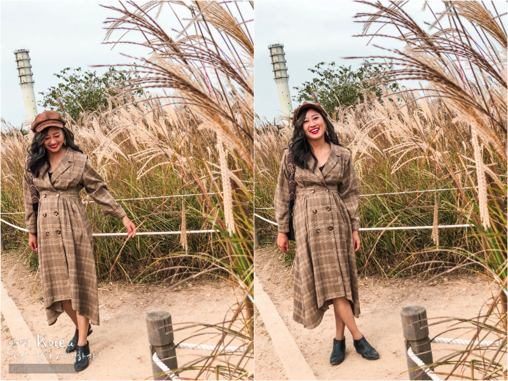 天空公園,首爾自由行,粉紅波波草,粉紅掃帚草,粉紅芒草,首爾景點,首爾好玩