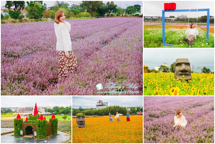 2019桃園花彩節+桃園仙草花節/台版普羅旺斯+五色花海超夢幻/四座摩艾石像等妳來尋找