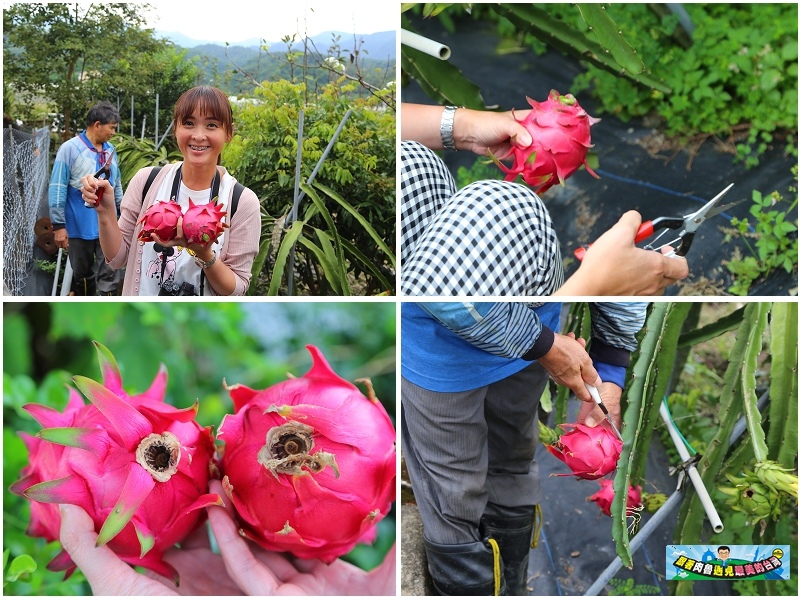 nEO_IMG_22.jpg nEO_IMG_22.jpg