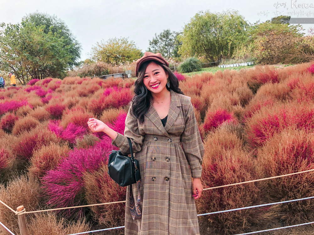 天空公園,首爾自由行,粉紅波波草,粉紅掃帚草,粉紅芒草,首爾景點,首爾好玩