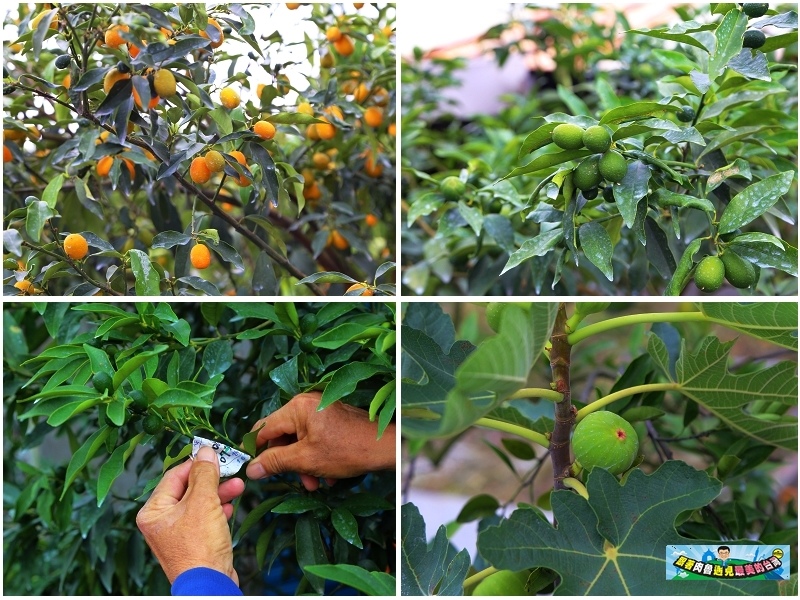 nEO_IMG_19.jpg nEO_IMG_19.jpg