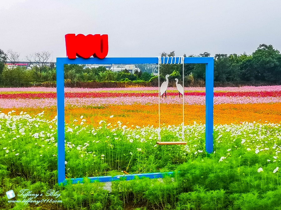 2019桃園花彩節+桃園仙草花節/台版普羅旺斯+五色花海超夢幻/四座摩艾石像等妳來尋找
