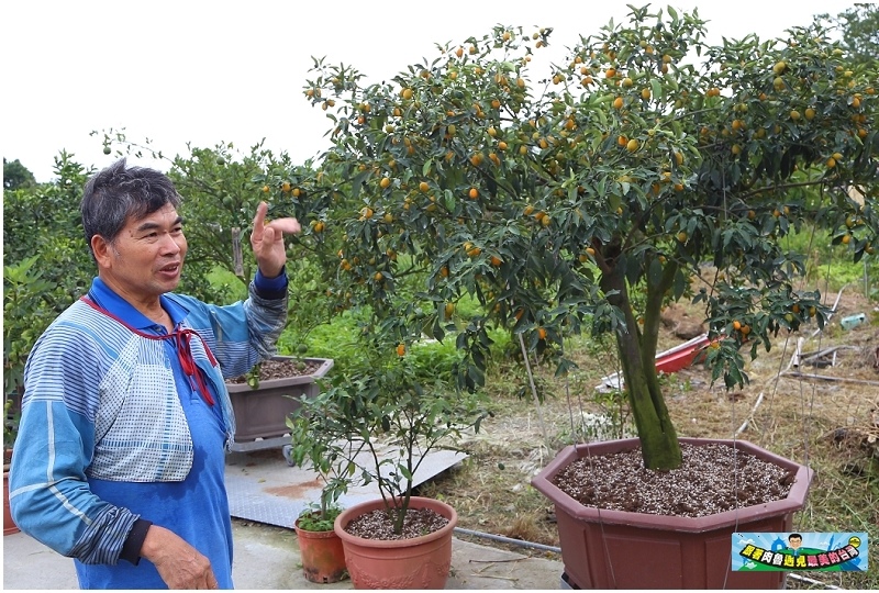 nEO_IMG_18.jpg nEO_IMG_18.jpg