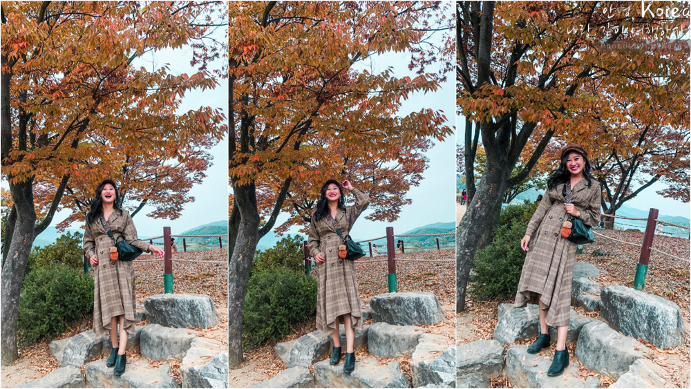 天空公園,首爾自由行,粉紅波波草,粉紅掃帚草,粉紅芒草,首爾景點,首爾好玩