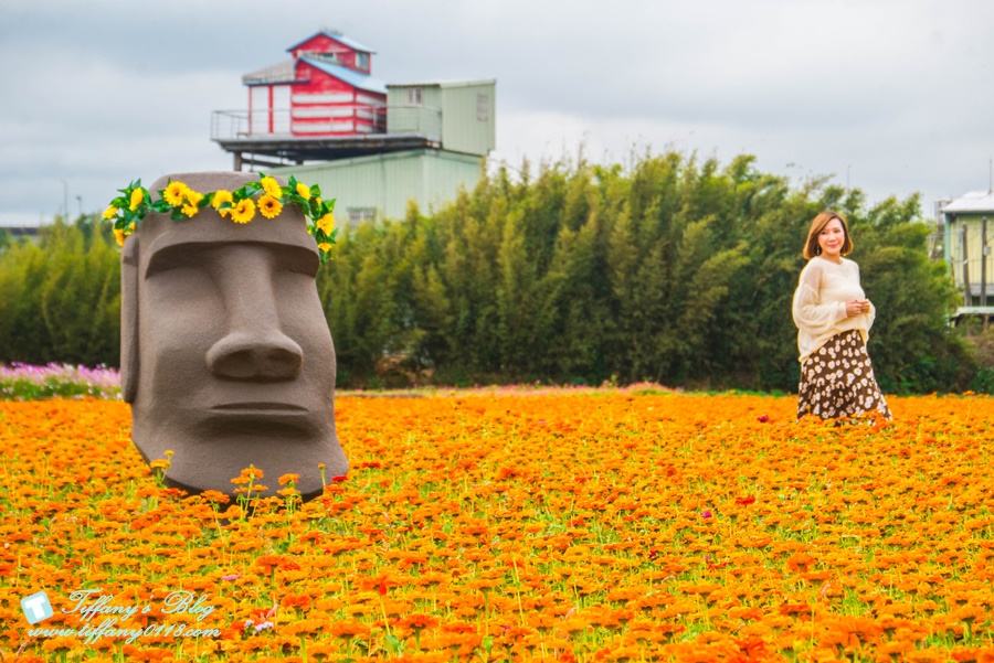 2019桃園花彩節+桃園仙草花節/台版普羅旺斯+五色花海超夢幻/四座摩艾石像等妳來尋找