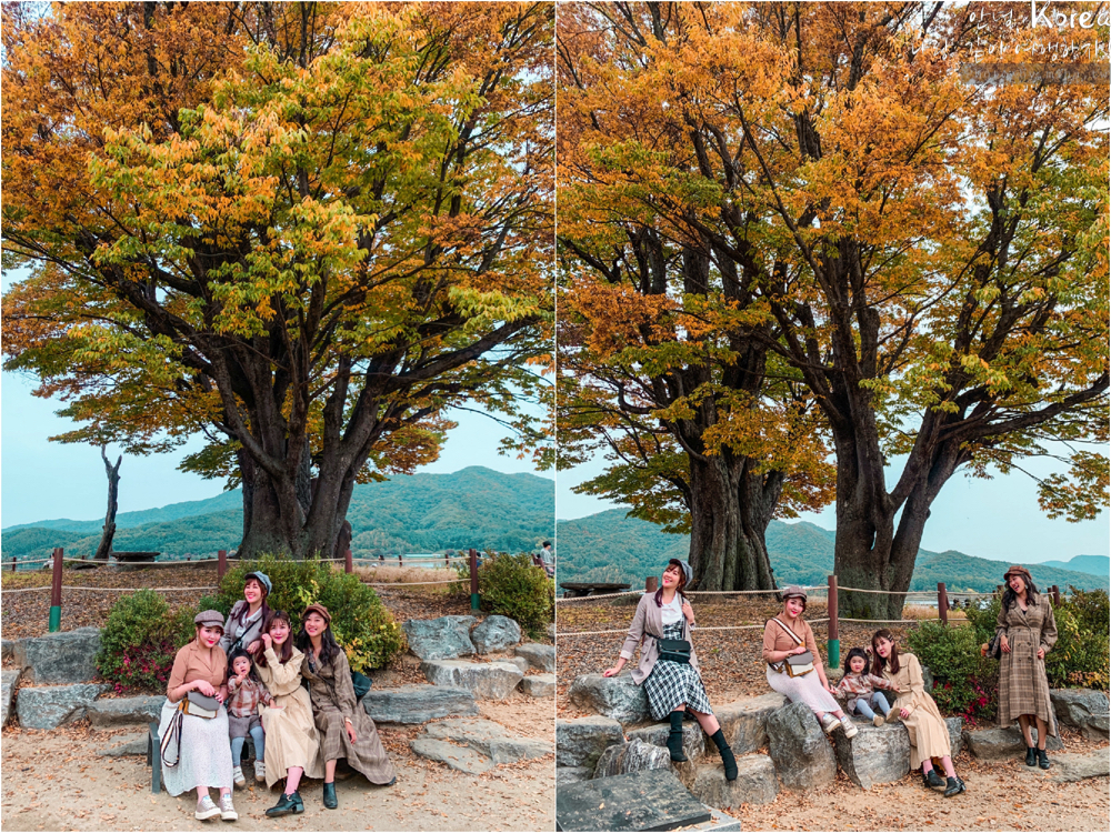 天空公園,首爾自由行,粉紅波波草,粉紅掃帚草,粉紅芒草,首爾景點,首爾好玩