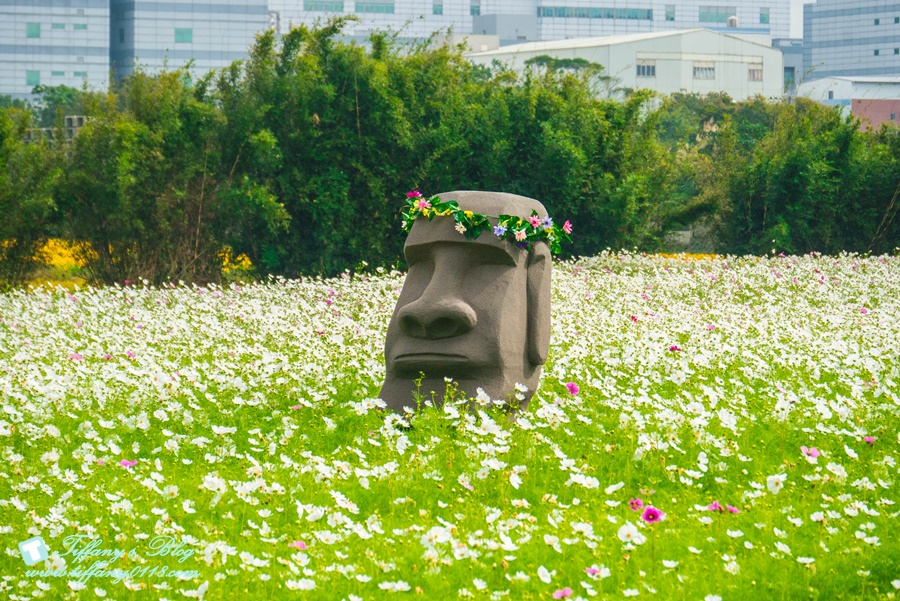 2019桃園花彩節+桃園仙草花節/台版普羅旺斯+五色花海超夢幻/四座摩艾石像等妳來尋找