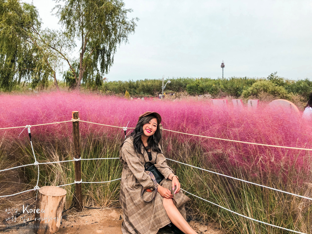 天空公園,首爾自由行,粉紅波波草,粉紅掃帚草,粉紅芒草,首爾景點,首爾好玩