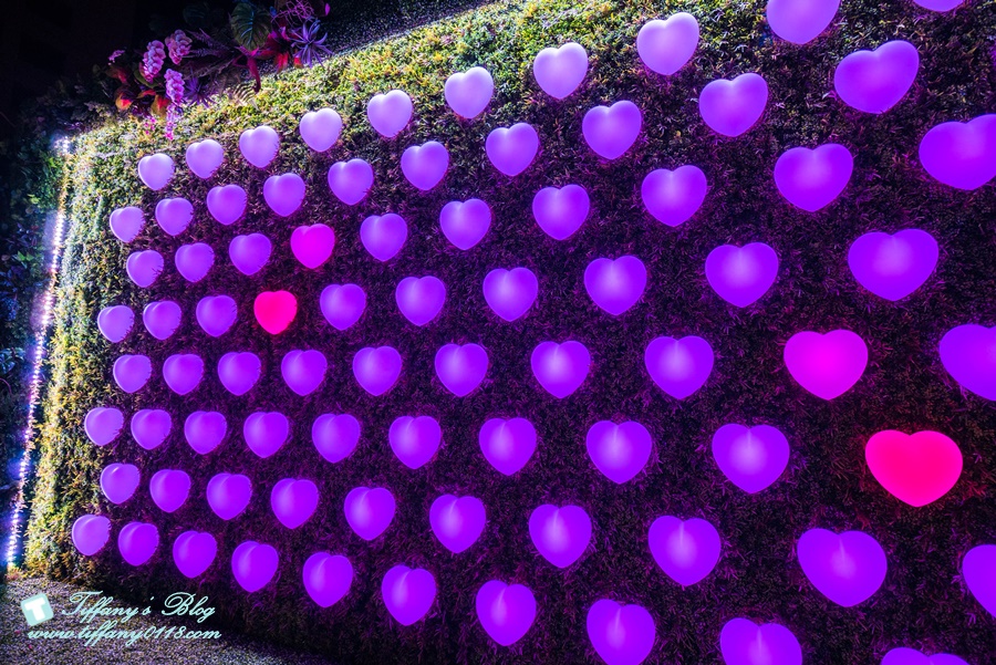 2019新北耶誕城燈區完整紀錄及交通資訊/教你怎麼玩怎麼去/32樓免費看夜景