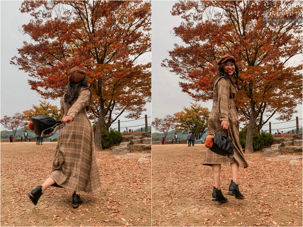 天空公園,首爾自由行,粉紅波波草,粉紅掃帚草,粉紅芒草,首爾景點,首爾好玩