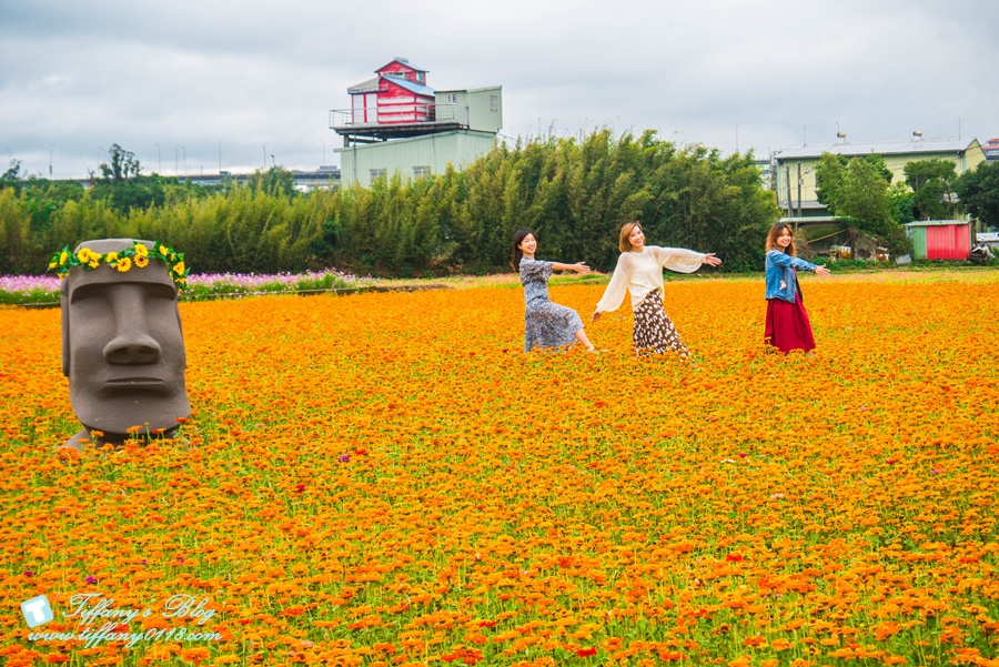 2019桃園花彩節+桃園仙草花節/台版普羅旺斯+五色花海超夢幻/四座摩艾石像等妳來尋找
