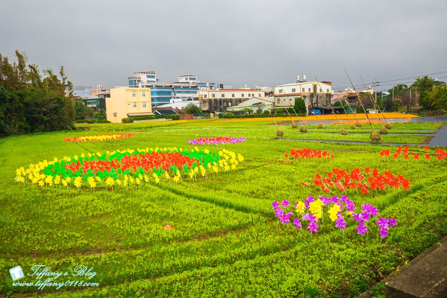 2019桃園花彩節+桃園仙草花節/台版普羅旺斯+五色花海超夢幻/四座摩艾石像等妳來尋找
